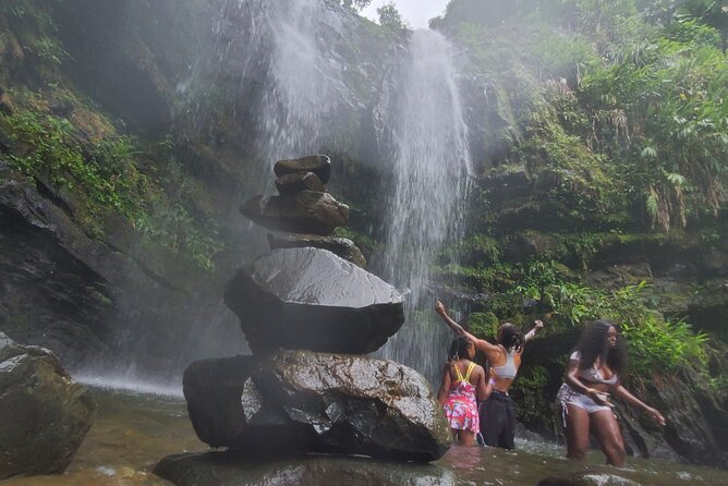 Private Rainforest Waterfalls and Beach Hiking Tour from San Juan - Price and value: what $399.99 per person really buys you