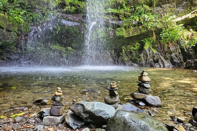 Private Rainforest Waterfalls and Beach Hiking Tour from San Juan - Who should book this private tour, and who might prefer a different day