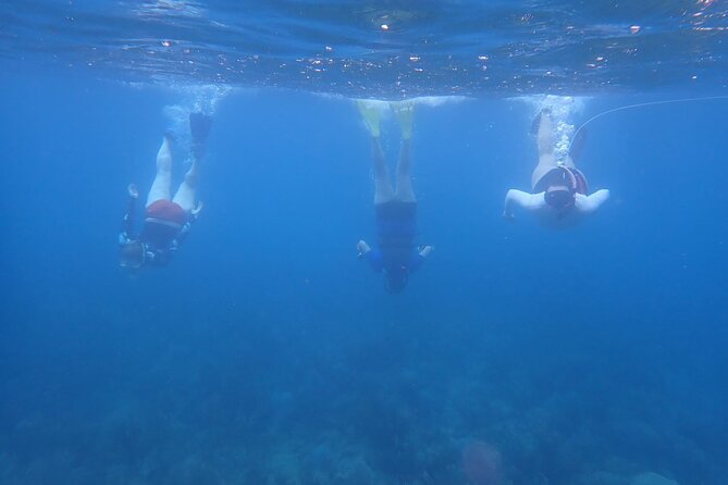 Private Rincon Snorkeling Adventure - Price and Value: Why $89 Can Be Worth It for the Right Group