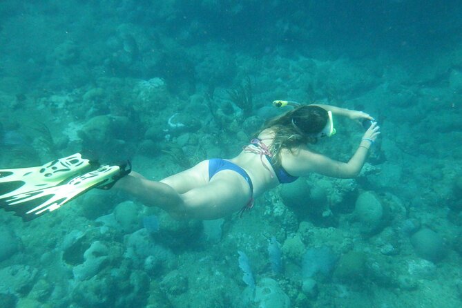 Private Rincon Snorkeling Adventure - Who This Tour Suits Best (And Who Might Want a Different Option)