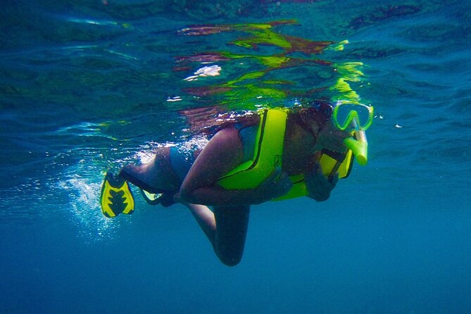 Private Rincon Snorkeling Adventure - Meet at 9:00, Get Kitted Up, Then Go With the Plan