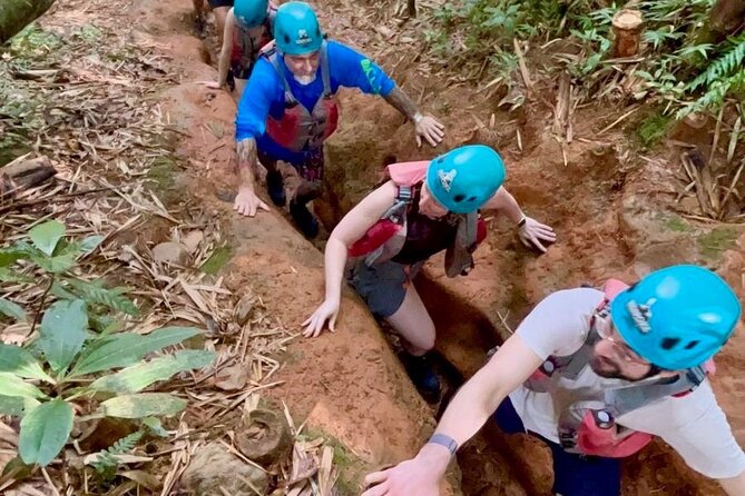 Private Tour of El Yunque Rainforest from San Juan - El Yunque National Forest version: viewpoints and a calmer way to enjoy the park