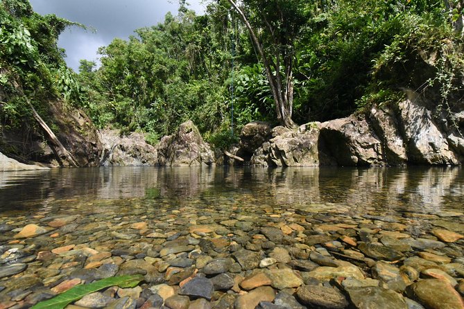 Private Tour of El Yunque Rainforest from San Juan - Packing for rainforest footing and waterproof phones