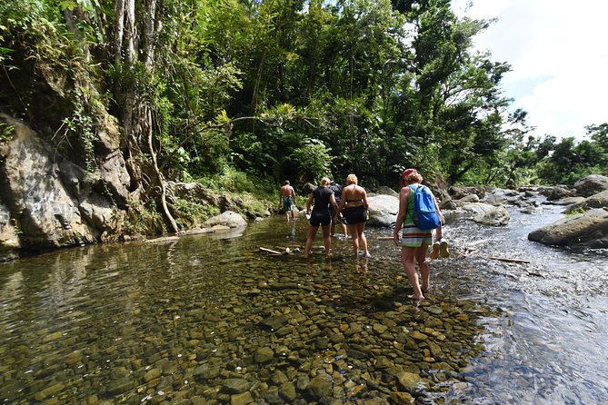 Private Tour of El Yunque Rainforest from San Juan - From San Juan to El Yunque: the private timing that protects your energy