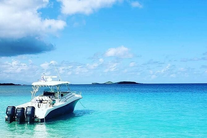 Private Tour to Cayo Icacos and Palomino Island - Key highlights that make this tour worth a look