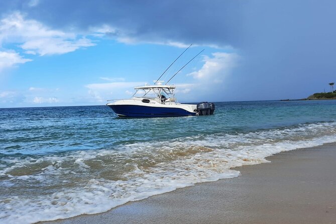 Private Tour to Cayo Icacos and Palomino Island - How the day runs, and why the private format matters