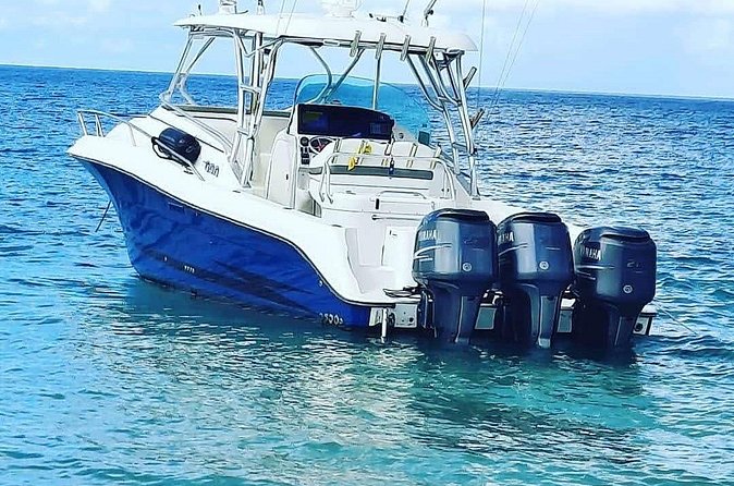 Private Tour to Cayo Icacos and Palomino Island - The boat ride experience: comfort, space, and your group’s mood