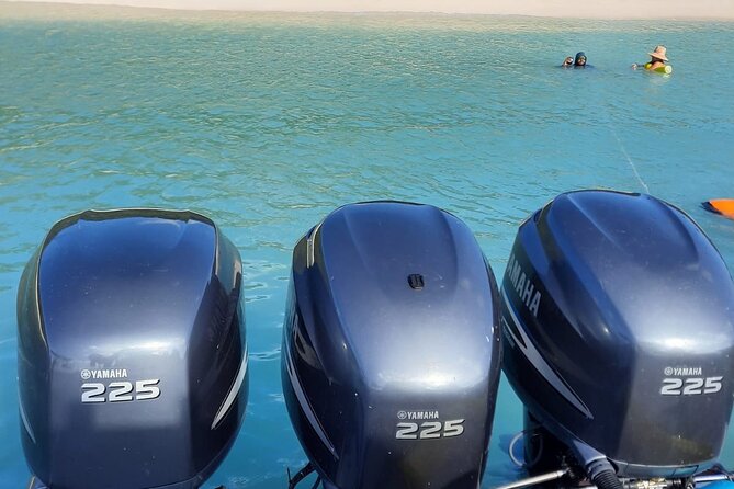 Private Tour to Cayo Icacos and Palomino Island - Food and drinks included: how it changes the cost equation