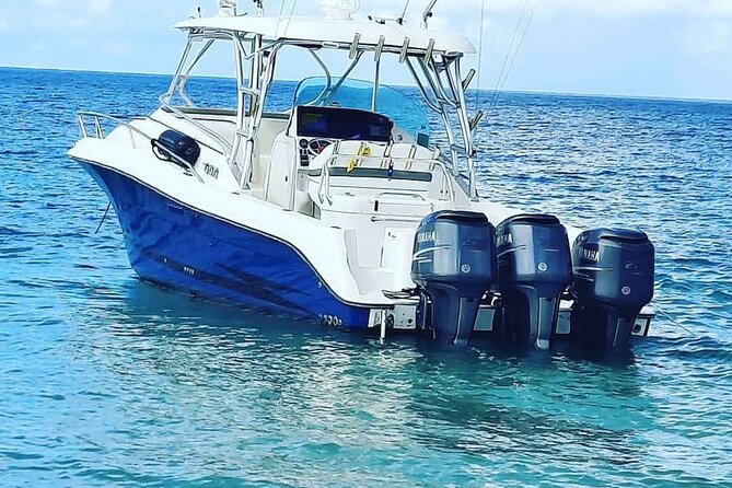 Private Tour to Cayo Icacos and Palomino Island - Weather matters more than you think