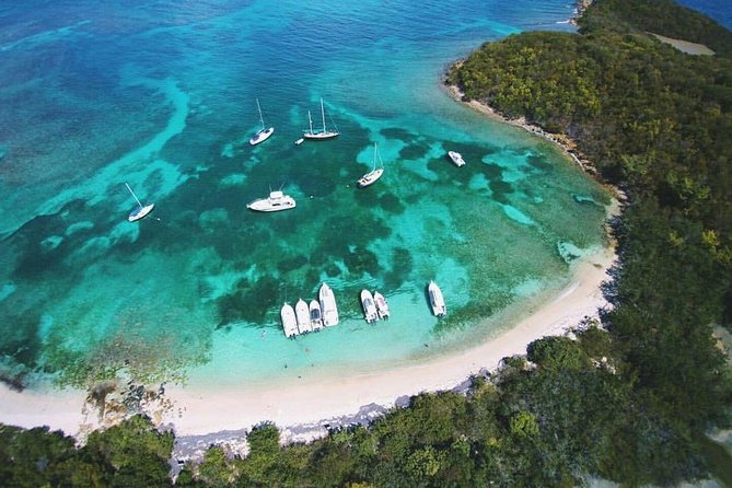 Public or Private Boat Trip to Icacos & Palomino - Key highlights worth planning around