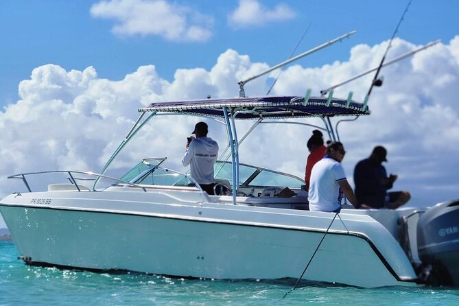 Public or Private Boat Trip to Icacos & Palomino - The itinerary in real life: cruise, snorkel time, island time, food and drinks