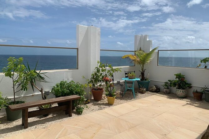Puerto Rican Gastronomy Cooking Class - Lunch, Snacks, And Alcohol: Why Eating Mid-Tour Changes The Value