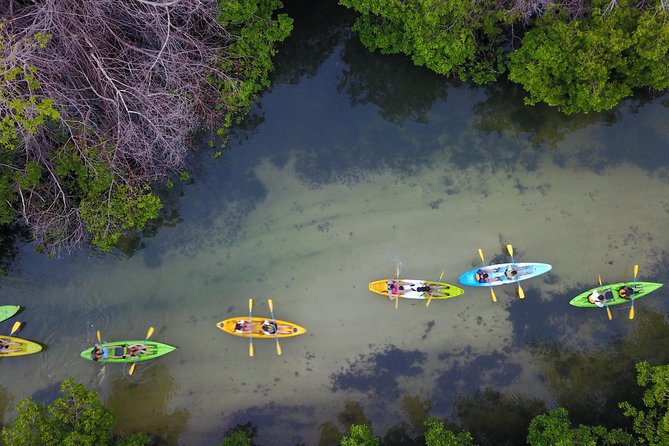 Puerto Rico Bio Bay Kayak Adventure Tour - Once You Reach Laguna Grande: Ecosystem Talk and When the Glow Shows