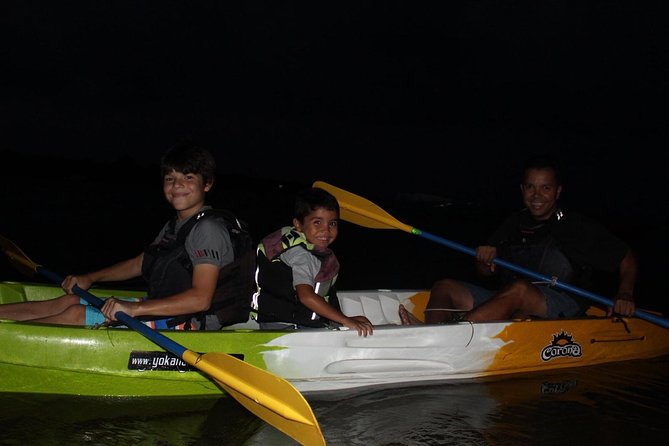 Puerto Rico Bio Bay Kayak Adventure Tour - Price and Value: Does $65 Make Sense for Two Hours in the Dark?