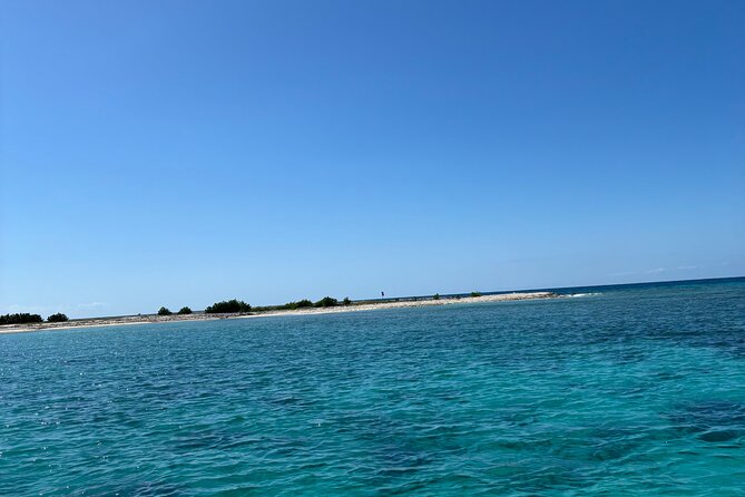 Puerto Rico: Bio Bay Swim and Sunset Charter or Late night tour - Key Points You Should Know Before You Go