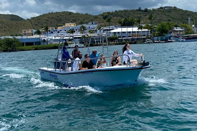 Puerto Rico: Bio Bay Swim and Sunset Charter or Late night tour - Why La Parguera Sandbars Plus a Swimming Biobay Is Such a Winning Combo