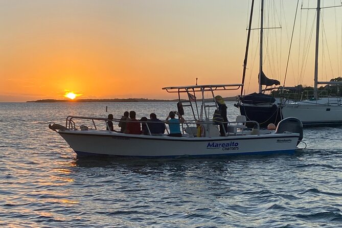 Puerto Rico: Bio Bay Swim and Sunset Charter or Late night tour - Timing, Conditions, and How to Set Your Expectations for the Glow