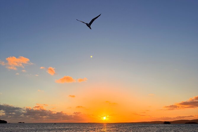 Puerto Rico: Bio Bay Swim and Sunset Charter or Late night tour - Accessibility and Physical Comfort: Who This Works Best For