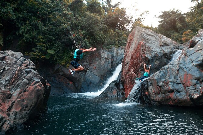 Puerto Rico El Yunque Rainforest with Transportation - Quick hits before you go