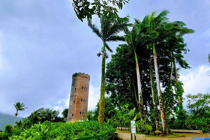 Puerto Rico: El Yunque Sightseeing Half-Day Tour w/Transfer - Key highlights worth planning for