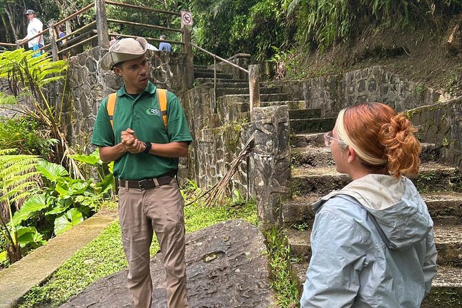 Puerto Rico: El Yunque Sightseeing Half-Day Tour w/Transfer - Catarata La Coca: A Quick Waterfall Stop Done Right