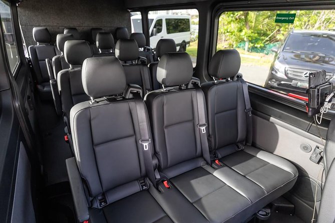 Puerto Rico Island Wide Private Transfers, 14Pax Lux Sprinter Van - Pickup Style in San Juan: Baggage Claim, Cruise Ports, Hotels, and AirBnB