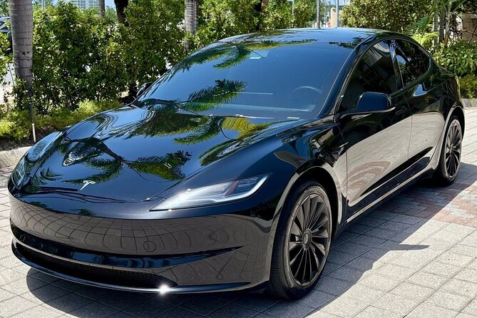 Puerto Rico Island Wide Private Transfers, Tesla 3 Luxury Sedan. - Families and Solo Travelers: Comfort and Practical Needs