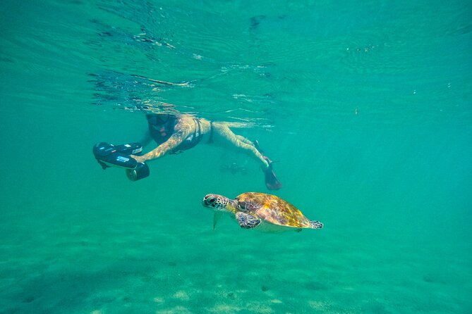 Puerto Rico Jet Snorkel with Turtles and Videos in San Juan - Jet-powered snorkeling in San Juan, why this setup feels easier