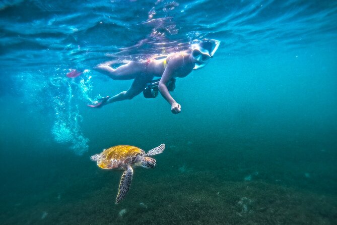 Puerto Rico Jet Snorkel with Turtles and Videos in San Juan - Stop 1 at Balneario El Escambrón, what actually happens in the water
