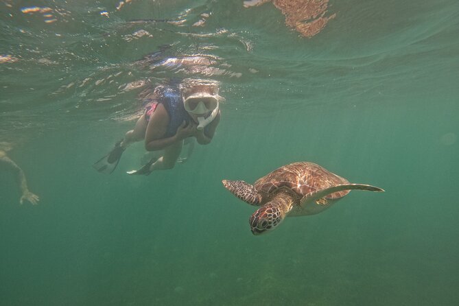 Puerto Rico Jet Snorkel with Turtles and Videos in San Juan - Photos, videos, and why that is worth factoring into the $99