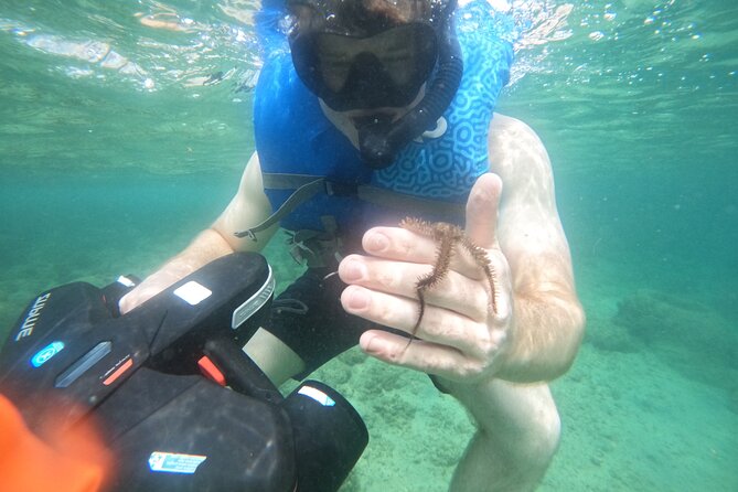 Puerto Rico Jet Snorkel with Turtles and Videos in San Juan - Should you book Puerto Rico Jet Snorkel with Turtles?