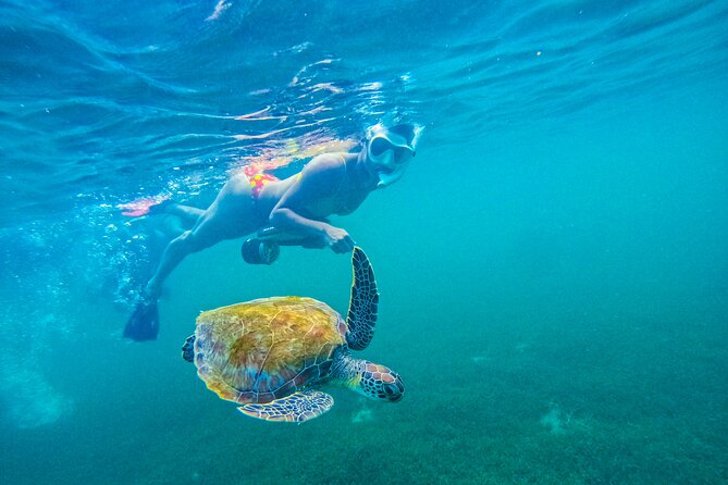Puerto Rico Jet Snorkel with Turtles and Videos in San Juan - Where you meet, and how to start without stress