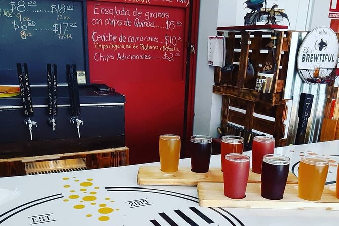 Puerto Rico's First and Only Craft Beer Brewery Tour! - Who This San Juan Craft Beer Tour Fits Best