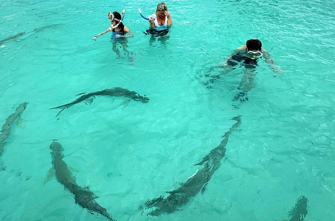 Puerto Rico's Only Private, VIP & Filmed Bio Bay Swim Experience - Price and value: is $429.99 per person a good deal?