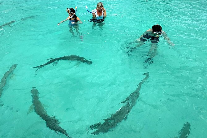 Puerto Rico's Only Private, VIP & Filmed Bio Bay Swim Experience - Who this tour fits best