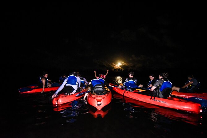 Puerto Rico Sunset Magic: Bio Bay Kayaking Tour from Fajardo - Key Things That Make This Biobay Kayaking Tour Worth Your Time