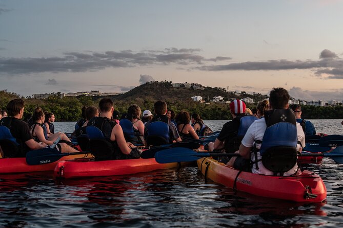 Puerto Rico Sunset Magic: Bio Bay Kayaking Tour from Fajardo - Puerto Rico Sunset Magic, Why Fajardo’s Bioluminescent Lagoon Is Special