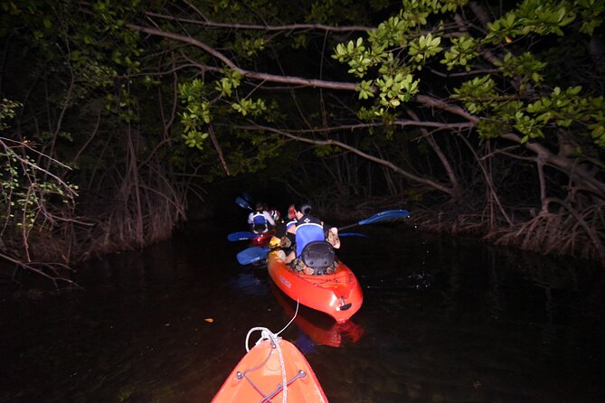 Puerto Rico Sunset Magic: Bio Bay Kayaking Tour from Fajardo - Seeing Bioluminescence: Moon, Clouds, and the Tarp Trick