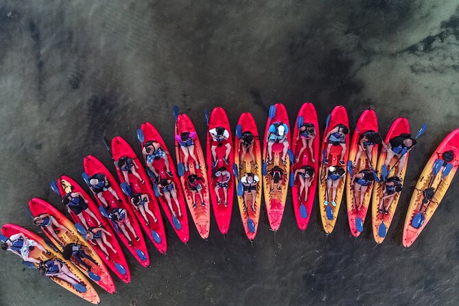 Puerto Rico Sunset Magic: Bio Bay Kayaking Tour from Fajardo - Your Kayak Setup: Tandems Only, and You Still Row Your Own Boat