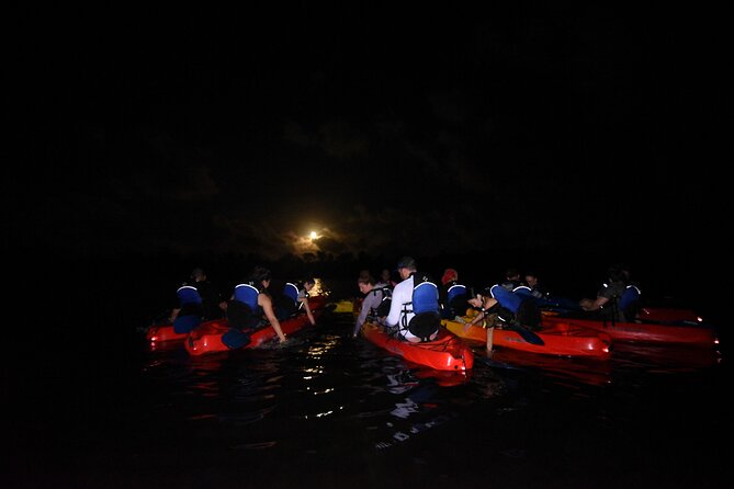 Puerto Rico Sunset Magic: Bio Bay Kayaking Tour from Fajardo - Meet Your Team: What the Guide Quality Feels Like