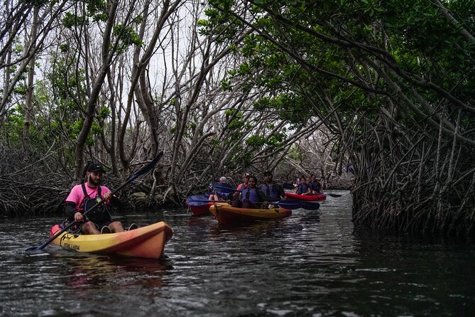 Puerto Rico Sunset Magic: Bio Bay Kayaking Tour from Fajardo - Getting There and What “2 Hours Approx.” Actually Means on the Water