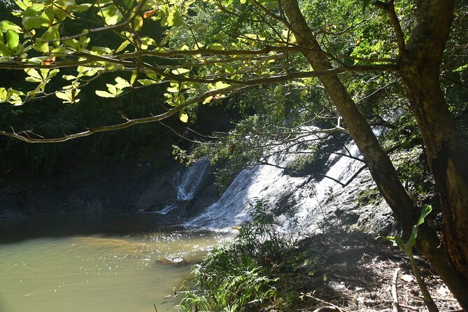 Puerto Rico Waterfall Hiking Tour: Discover Hidden Gems 2.0 - Why This Puerto Rico Waterfall Hike Feels Different From the Usual Tours