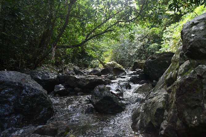 Puerto Rico Waterfall Hiking Tour: Discover Hidden Gems 2.0 - The 8:00 AM Van Ride From San Juan (and Why It Matters)