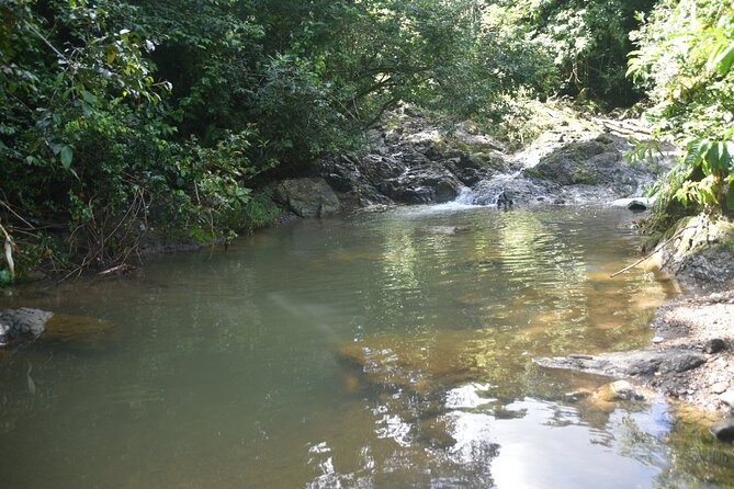 Puerto Rico Waterfall Hiking Tour: Discover Hidden Gems 2.0 - Lunch After the Hike: Local Puerto Rican Food, at Your Expense