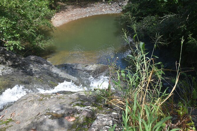 Puerto Rico Waterfall Hiking Tour: Discover Hidden Gems 2.0 - Who Should Book This (and Who Might Want a Gentler Day)