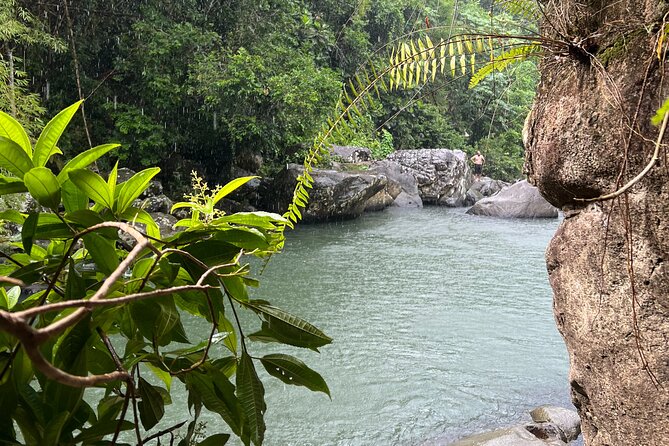 Rainforest Adventure All inclusive Food and Fotos - What you get for $69: bottled water, snacks, and real value