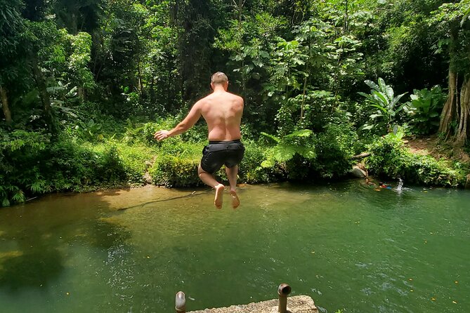 Rainforest and Junglequi Zipline Combo Tour - Entering the Rainforest: Why This Combo Tour Fits a Puerto Rico Day