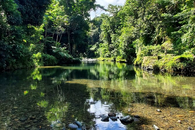 Rainforest and Junglequi Zipline Combo Tour - Junglequi Zipline Park: Gear Up, Then Fly Through Forest Canopy