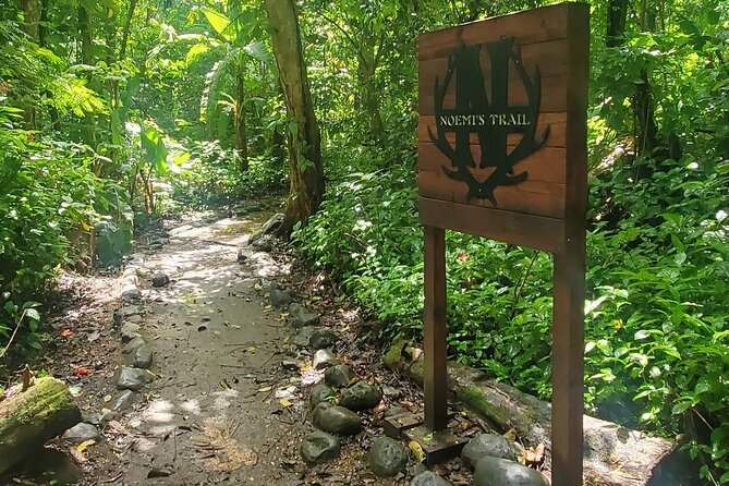 Rainforest and Junglequi Zipline Combo Tour - Luquillo Beach Kiosks Stop: Where You Eat at Your Pace
