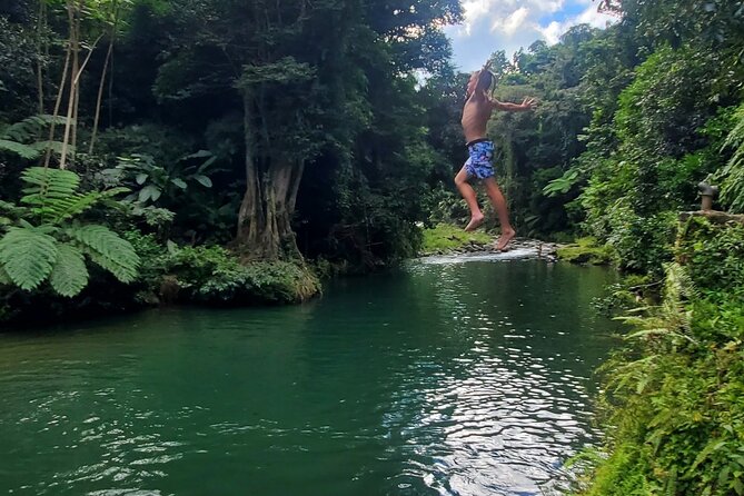 Rainforest and Junglequi Zipline Combo Tour - Who This Tour Is Best For (And Who Might Skip It)